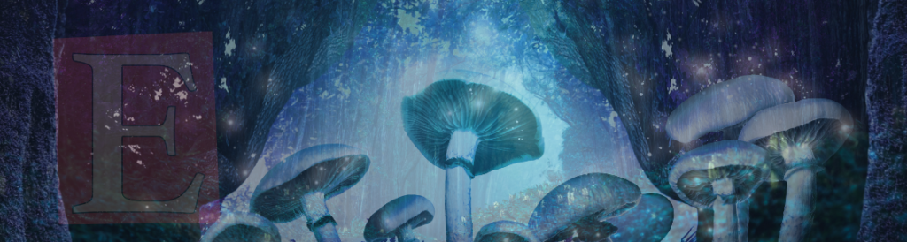 Etsy marketing without social media: Mushroom filled pathway in a spooky, mystical forest. Hiding is the shadows is the Etsy E