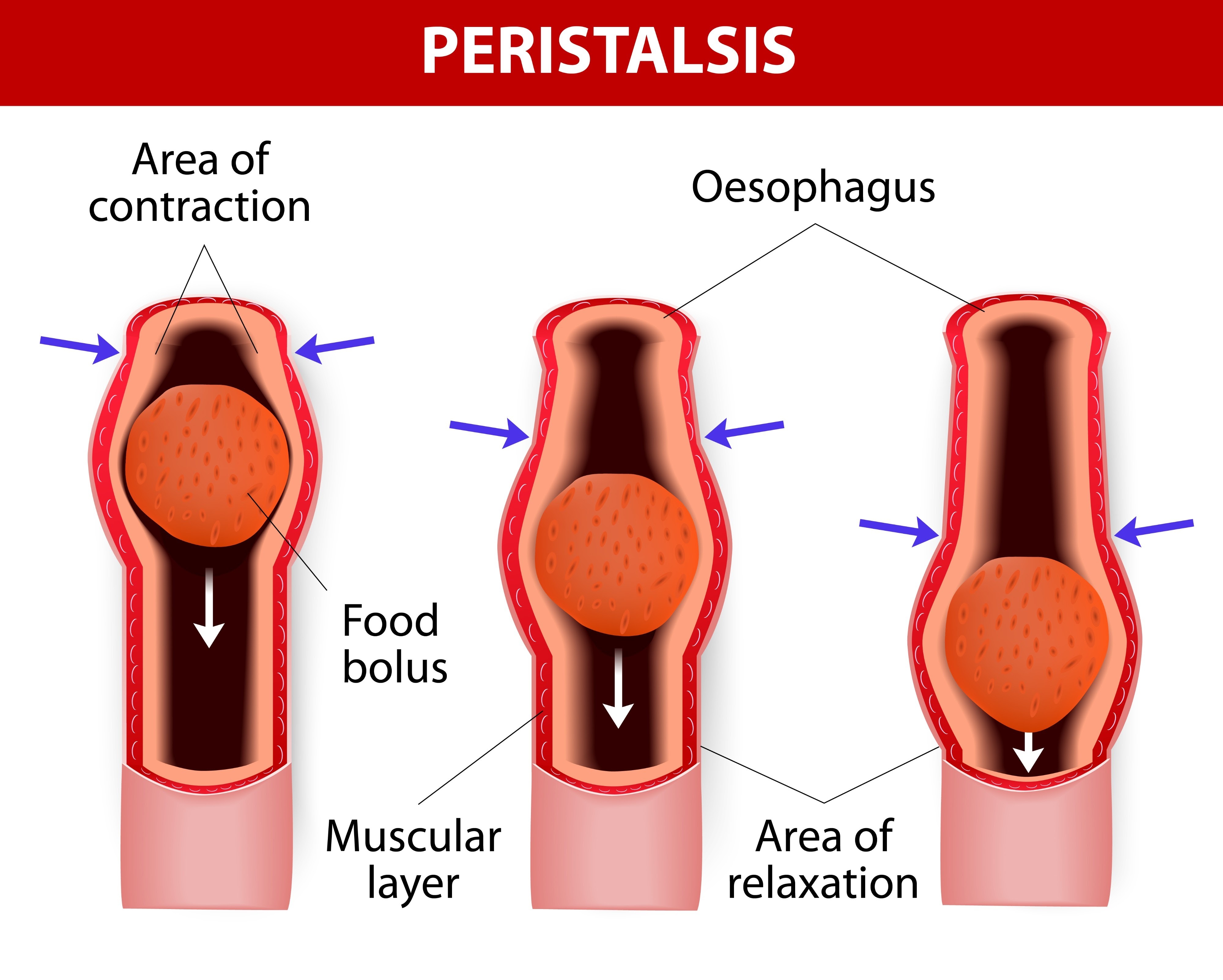 side effects of Emaglity - peristalsis